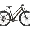 Trek Dual Sport 3 TR Equipé Gén5